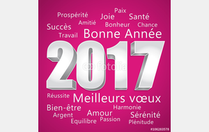 Meilleurs voeux 2017